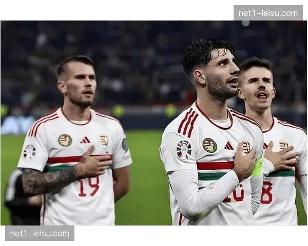 葡萄牙B席无缘集训名单 中场核心伤情牵动战术构建